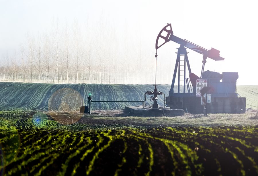 A pumpjack working in an open field